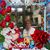 Shirley Orange's profile image