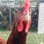 Gwen Cantwell's profile image