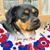 Pamela Gillum's profile image