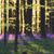 April Raub's profile image