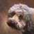 Jill Brandolph Shapiro's profile image
