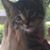 Kelly Barum's profile image