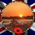 Carole Perrine White's profile image