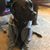 Jeanetta Garmon - Darno's profile image