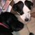 Linda Bryan's profile image