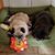 Holly Cook DeJarnette's profile image