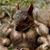 Chad Quinton's profile image