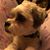 Trudy O'Connor Zill's profile image