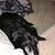 Donna Okeefe's profile image