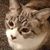 Kathy Stemmer's profile image
