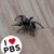 Dale Krantz's profile image