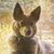 Betsy Smith's profile image