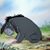 Allen Kennedy's profile image
