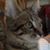 Connie Dekker's profile image