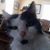 Jim Vowell's profile image