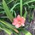 Susan Elizabeth Mouser's profile image