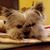 Kimberly Smith Kirby's profile image