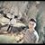 Ali Yavuz's profile image