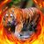 David Mccants's profile image