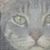 Jo Laken-Wienzierl's profile image