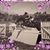 Adelaide Canipelli's profile image