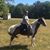 Toni Tamborello Sleeme's profile image