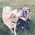 Aimee Richards Batten's profile image