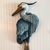 Jayne Cawthern's profile image