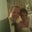 John Herman's profile image