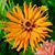 Richard Henzel's profile image