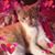 Rushteen Dowling-Hughes's profile image