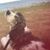 Peggy Bradford's profile image