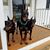 Bob D'Agostino's profile image