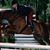 Carolynn Osborn's profile image