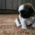 Tony Rasmussen's profile image