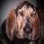Margie Martin Mills's profile image