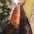 Christina Hyke's profile image