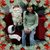 Tammy Finn Petrick's profile image