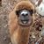 Laurie Kelner's profile image
