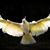 Ann Marcella Williams's profile image