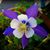 Melanie Leggett Jenkins's profile image