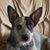 Lorene Glaus's profile image