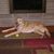 John Leite's profile image