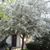Marguerite Susie Smith's profile image