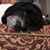 Michael W. Halker's profile image