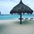 Carolyn McNey Hall's profile image