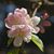 Cathy Satterwhite's profile image