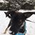 Janelle DePuydt's profile image