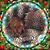Joanne Momano Cantwell's profile image