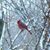 Gayle Wieneke's profile image
